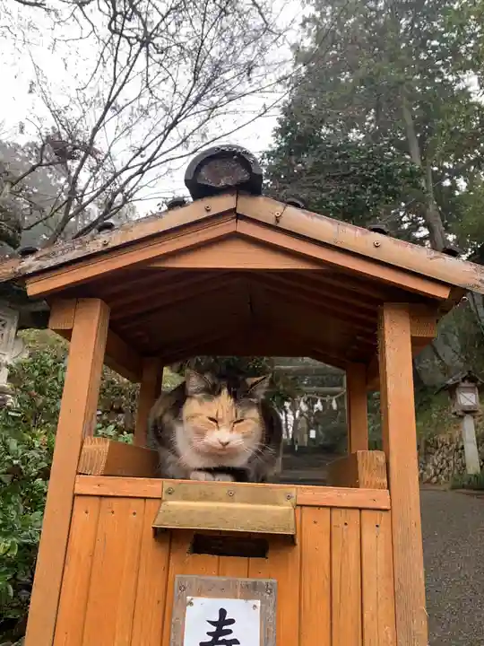 唐澤山神社の動物
