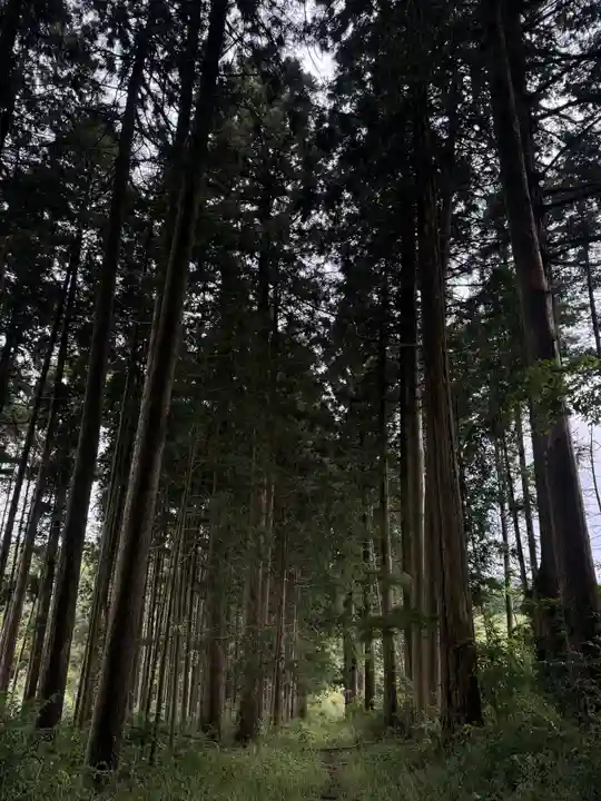 荒戸神社(岡山県)