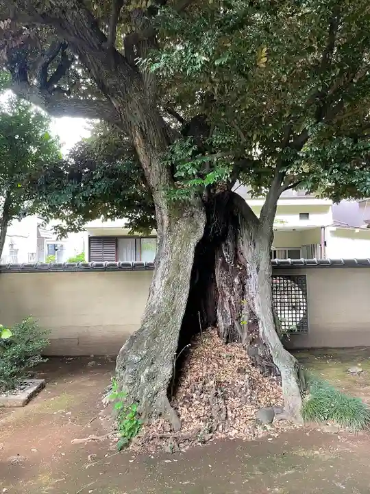 天王寺(東京都)