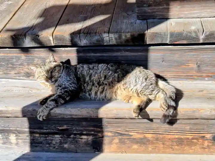 六月八幡神社(東京都)