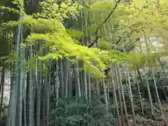 報国寺(神奈川県)