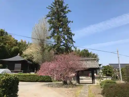 浄光寺の山門