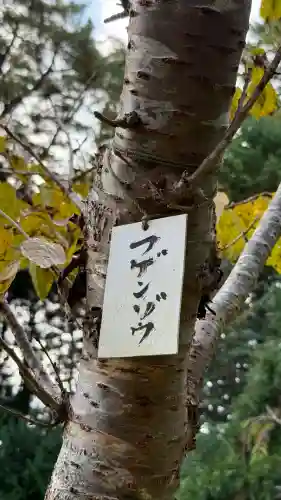 矢不来天満宮(北海道)