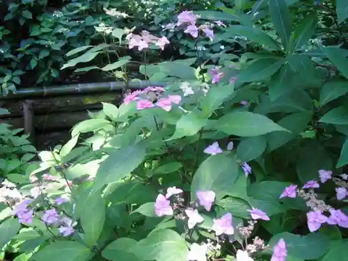 御霊神社の自然