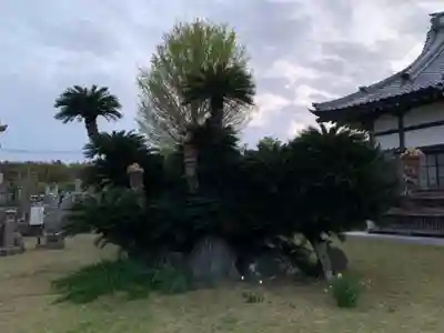 金剛院(千葉県)