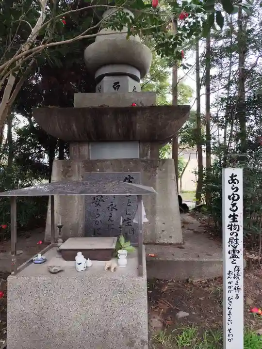 浄瑠璃寺(愛媛県)