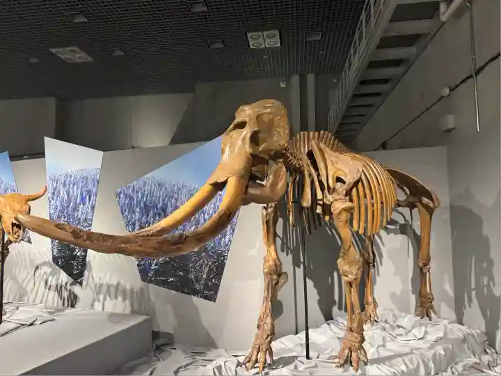 上野東照宮(東京都)