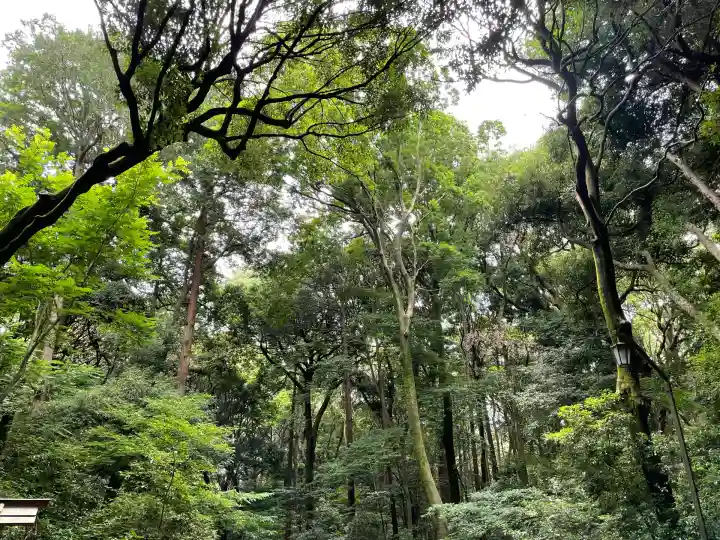 明治神宮(東京都)