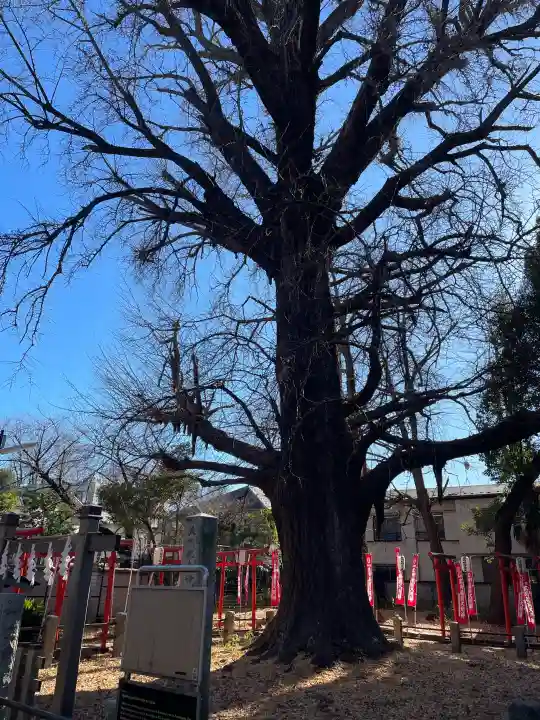武芳稲荷神社の{uncategorized: "未分類", other: "その他", undefined: "問題あり", building: "その他建物", grave: "お墓", sacred_gate: "鳥居", guardian: "狛犬", statue: "像", buddha: "仏像", history: "歴史", nature: "自然", garden: "庭園", animal: "動物", pagoda: "塔", temizu: "手水舎", mountain_gate: "山門・神門", sanctuary: "本殿・本堂", subordinate: "末社・摂社", art: "芸術", scenery: "景色", jizo: "地蔵", ema: "絵馬", goshuin: "御朱印", omikuji: "おみくじ", items: "授与品その他", amulet: "お守り", goshuincho: "御朱印帳", eats: "食事", festival: "お祭り", votive_dance: "神楽", shichigosan: "七五三参", wedding: "結婚式", experience: "体験その他", initially: "初詣", around: "周辺", anti_infection: "感染症対策"}