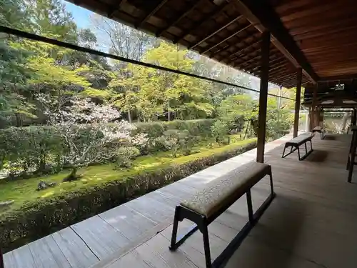 桂春院(京都府)
