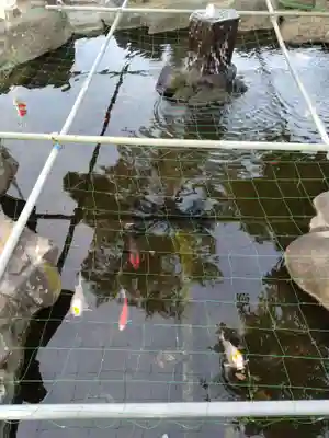 住吉神社(山梨県)