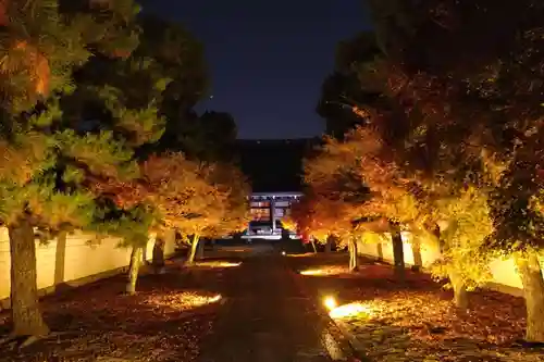 妙顯寺（妙顕寺）(京都府)