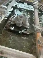 一畑山薬師寺 岡崎本堂の{uncategorized: "未分類", other: "その他", undefined: "問題あり", building: "その他建物", grave: "お墓", sacred_gate: "鳥居", guardian: "狛犬", statue: "像", buddha: "仏像", history: "歴史", nature: "自然", garden: "庭園", animal: "動物", pagoda: "塔", temizu: "手水舎", mountain_gate: "山門・神門", sanctuary: "本殿・本堂", subordinate: "末社・摂社", art: "芸術", scenery: "景色", jizo: "地蔵", ema: "絵馬", goshuin: "御朱印", omikuji: "おみくじ", items: "授与品その他", amulet: "お守り", goshuincho: "御朱印帳", eats: "食事", festival: "お祭り", votive_dance: "神楽", shichigosan: "七五三参", wedding: "結婚式", experience: "体験その他", initially: "初詣", around: "周辺", anti_infection: "感染症対策"}