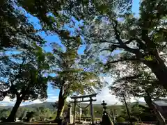 白鳥神社の鳥居