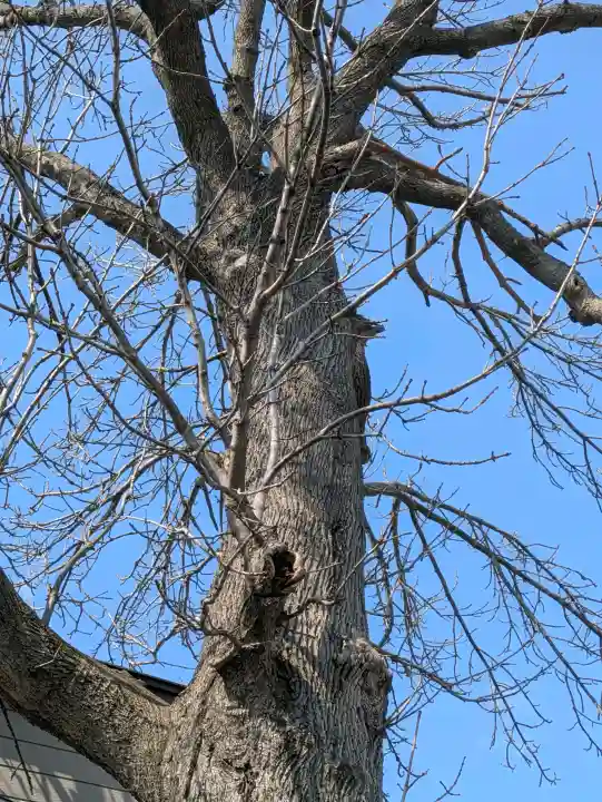 亀田龍神社の{uncategorized: "未分類", other: "その他", undefined: "問題あり", building: "その他建物", grave: "お墓", sacred_gate: "鳥居", guardian: "狛犬", statue: "像", buddha: "仏像", history: "歴史", nature: "自然", garden: "庭園", animal: "動物", pagoda: "塔", temizu: "手水舎", mountain_gate: "山門・神門", sanctuary: "本殿・本堂", subordinate: "末社・摂社", art: "芸術", scenery: "景色", jizo: "地蔵", ema: "絵馬", goshuin: "御朱印", omikuji: "おみくじ", items: "授与品その他", amulet: "お守り", goshuincho: "御朱印帳", eats: "食事", festival: "お祭り", votive_dance: "神楽", shichigosan: "七五三参", wedding: "結婚式", experience: "体験その他", initially: "初詣", around: "周辺", anti_infection: "感染症対策"}