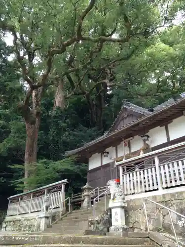 熊野三所神社の本殿・本堂