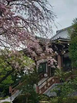 最勝寺(東京都)