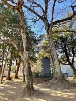 本太氷川神社(埼玉県)