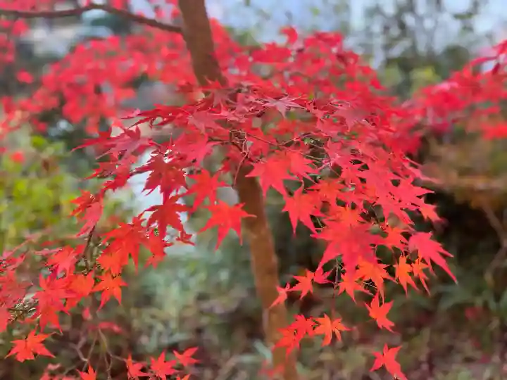 善水寺(滋賀県)
