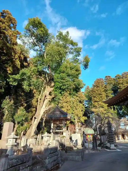 赤門の寺 法蔵寺(栃木県)