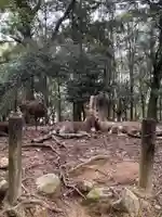 春日大社(奈良県)