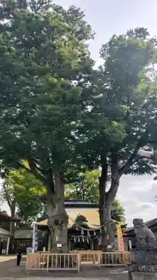 熊野宮(東京都)