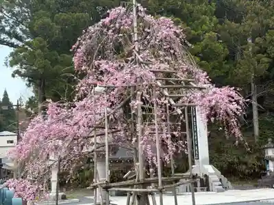 高野山金剛峯寺奥の院(和歌山県)
