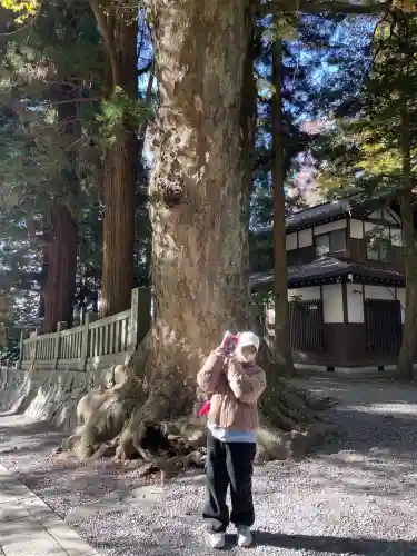 諏訪大社下社春宮(長野県)