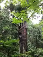 寳光院(新潟県)