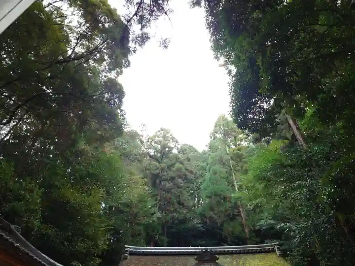 狭井坐大神荒魂神社(狭井神社)(奈良県)