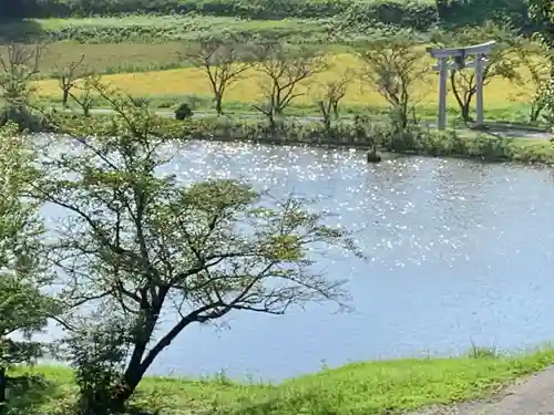 牟禮山観音禅寺の庭園