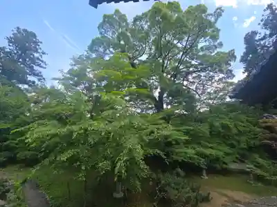 十輪寺(京都府)