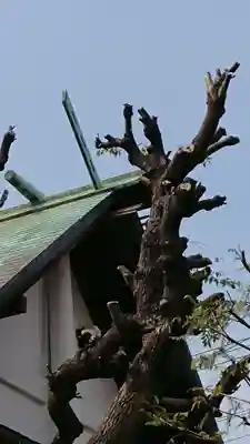 桜神宮のその他建物