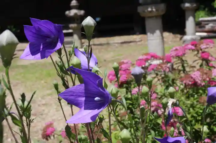 大洞弁財天 長寿院(滋賀県)