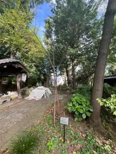 来福寺(東京都)