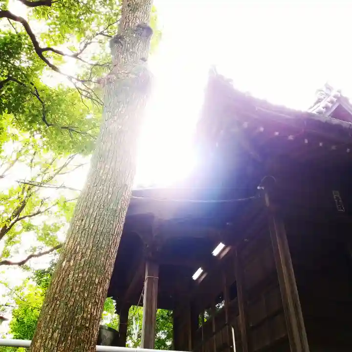白髭神社のその他建物