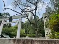 乃木神社の鳥居