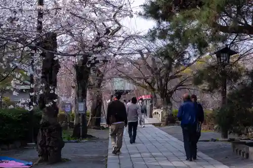 三嶋大社(静岡県)