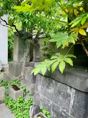 西福寺(東京都)