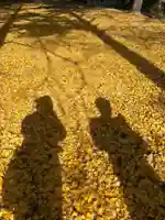 日吉神社(山口県)