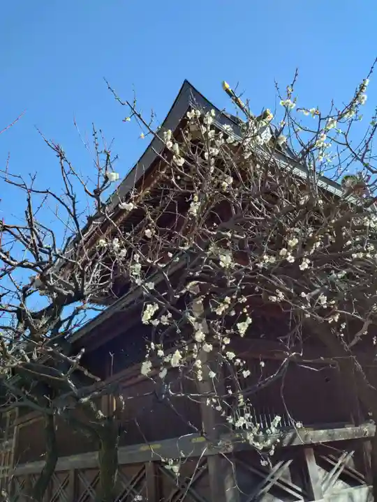 湯島天満宮(東京都)