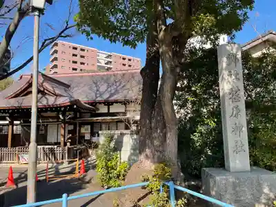 荏原神社のその他建物