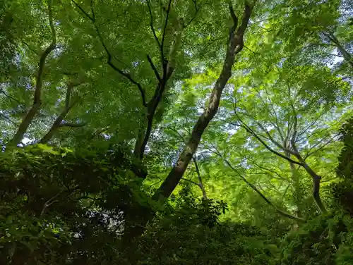 光明寺瑠璃光院(京都府)