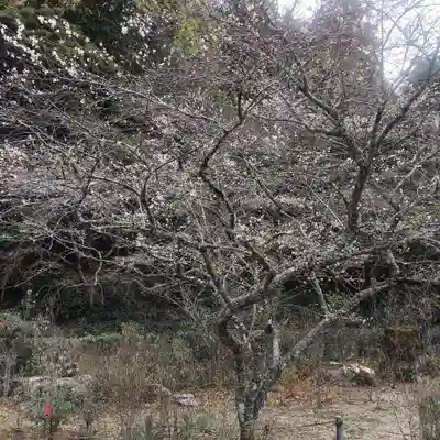 正宗寺(愛知県)