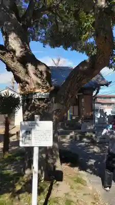 雷神社(東京都)