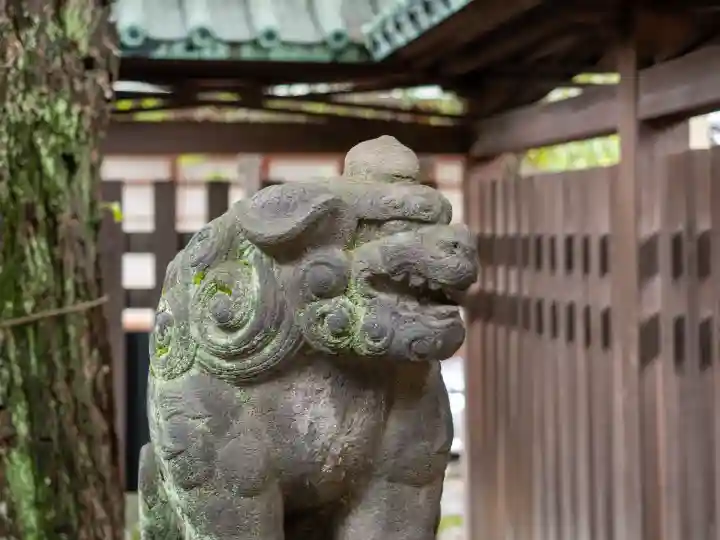 牛嶋神社の狛犬