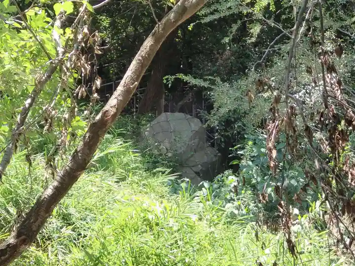 保久良神社の自然