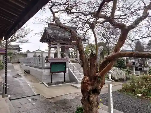 福永寺のその他建物