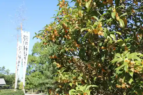 滑川神社 - 仕事と子どもの守り神の庭園