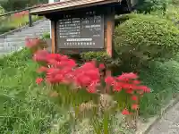 国宝 大法寺(長野県)